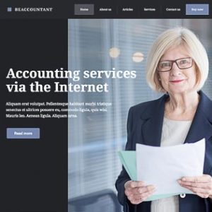 accountant3