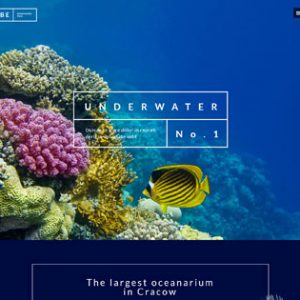 underwater